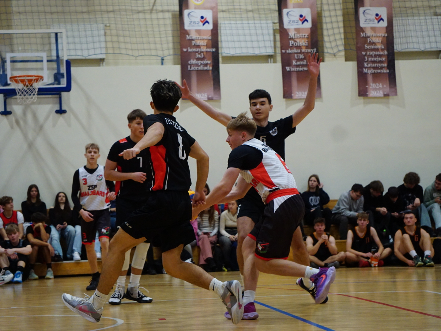 koszykowka11